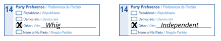Examples of ways to fill out Party Preference form.